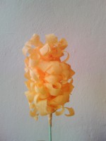 /album/fotogaleria/img-20140326-085947-jpg1/