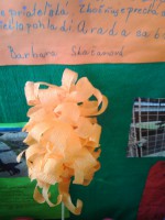 /album/fotogaleria/img-20140326-090032-jpg/